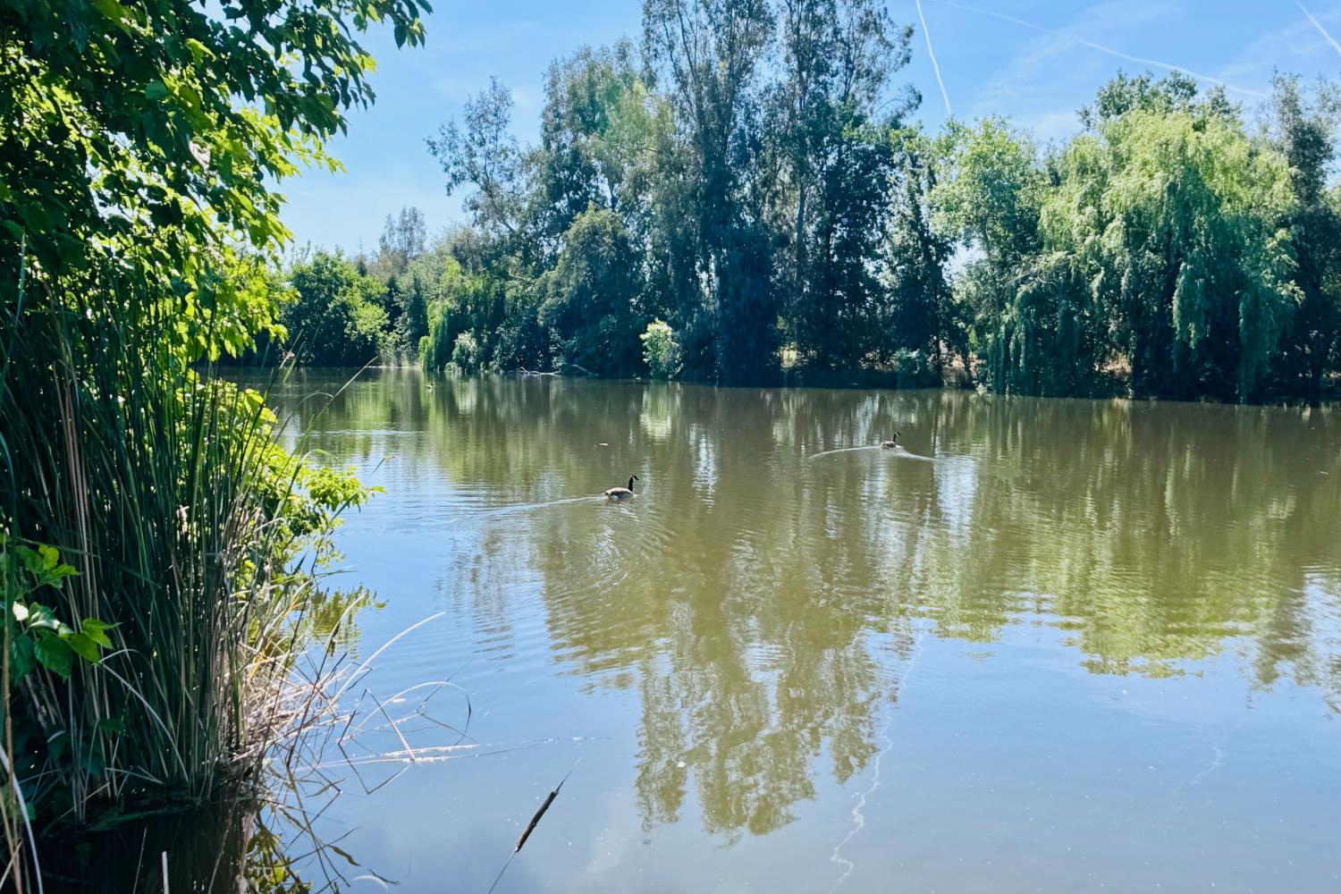 8155 N Fowler Ave, Clovis, CA 93619