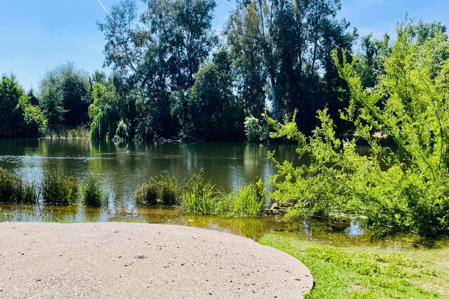 8155 N Fowler Ave, Clovis, CA 93619