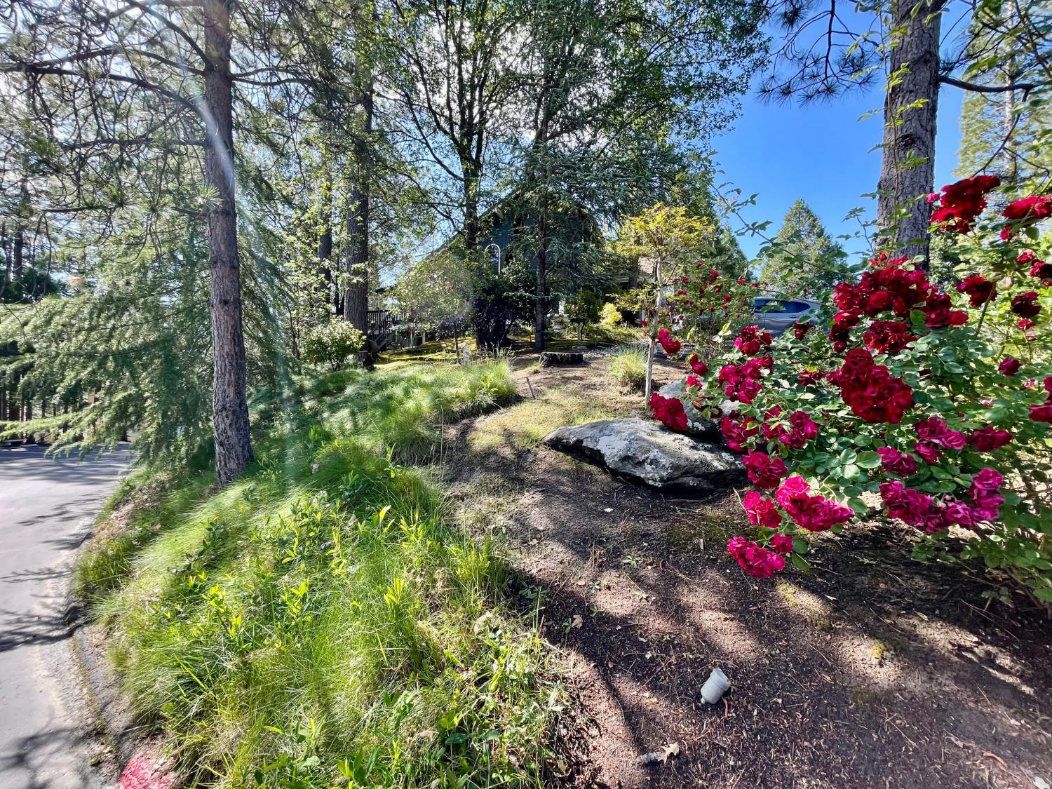 50852 Smoke Tree Trail, Bass Lake, CA 93604
