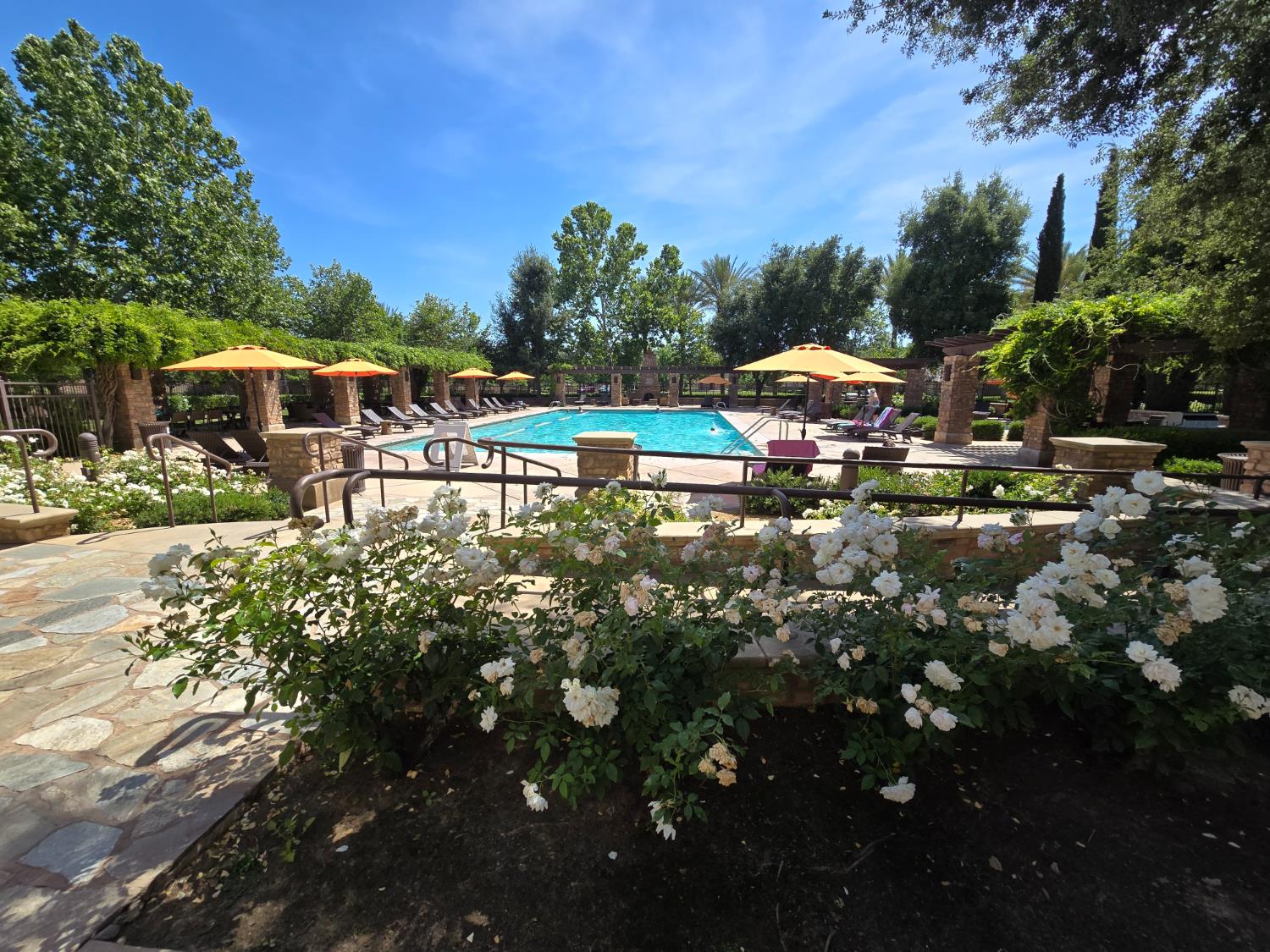 4153 Chessa Ln, Clovis, CA 93619