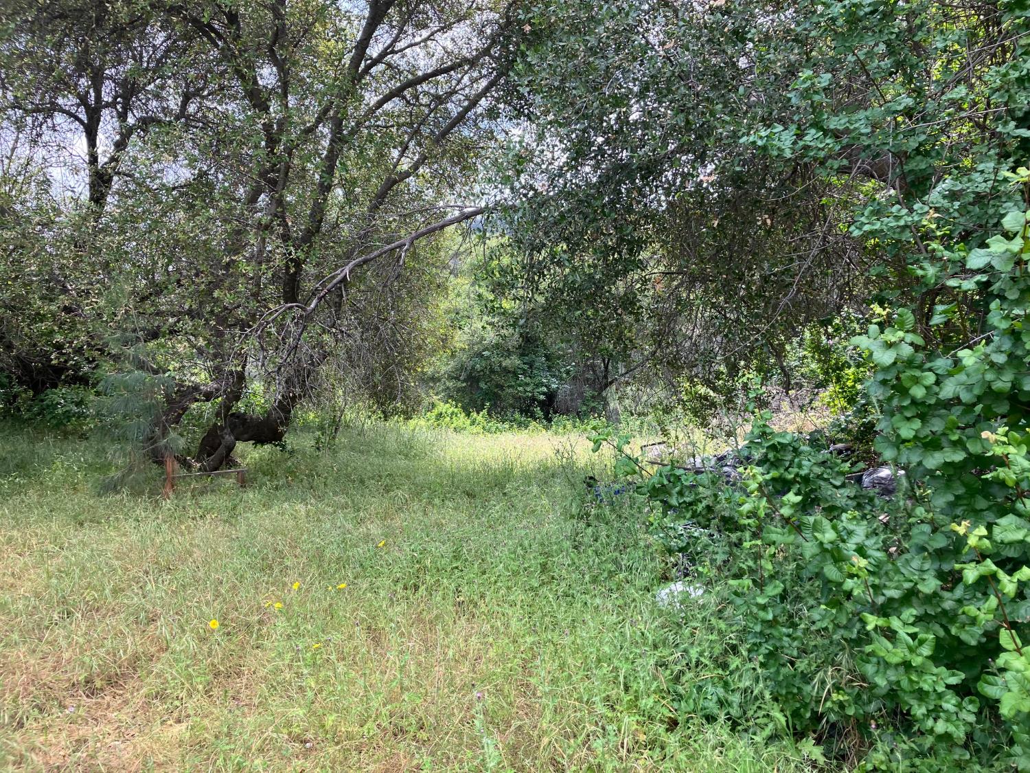 0 0 Lookout Mountain Rd, Mariposa, CA 95338