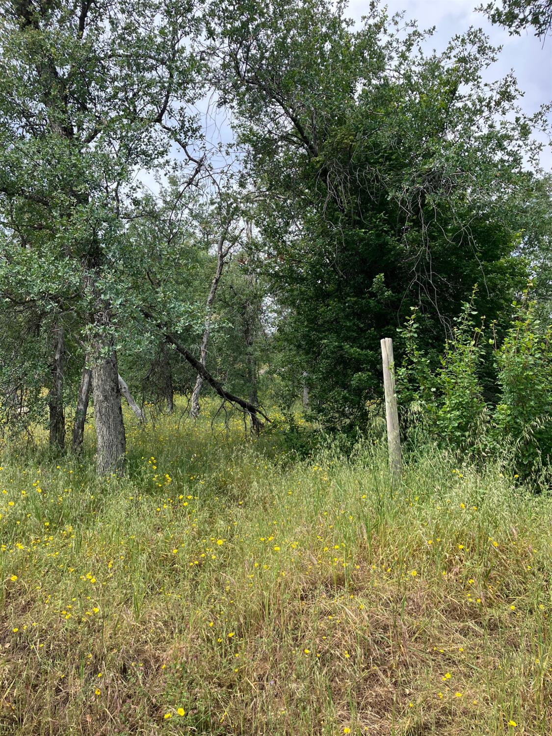 0 0 Lookout Mountain Rd, Mariposa, CA 95338