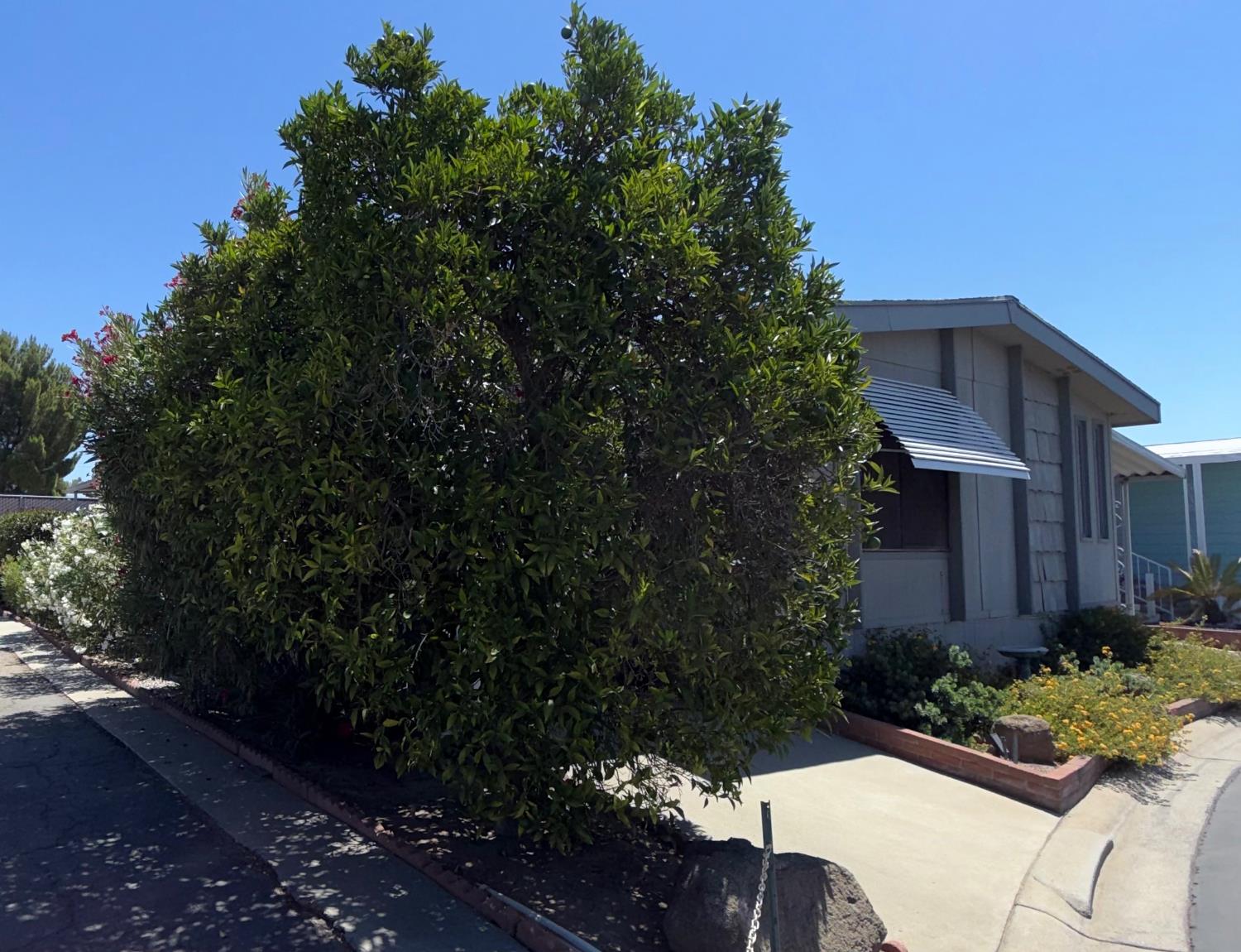 2706 W Ashlan Ave #240, Fresno, CA 93705