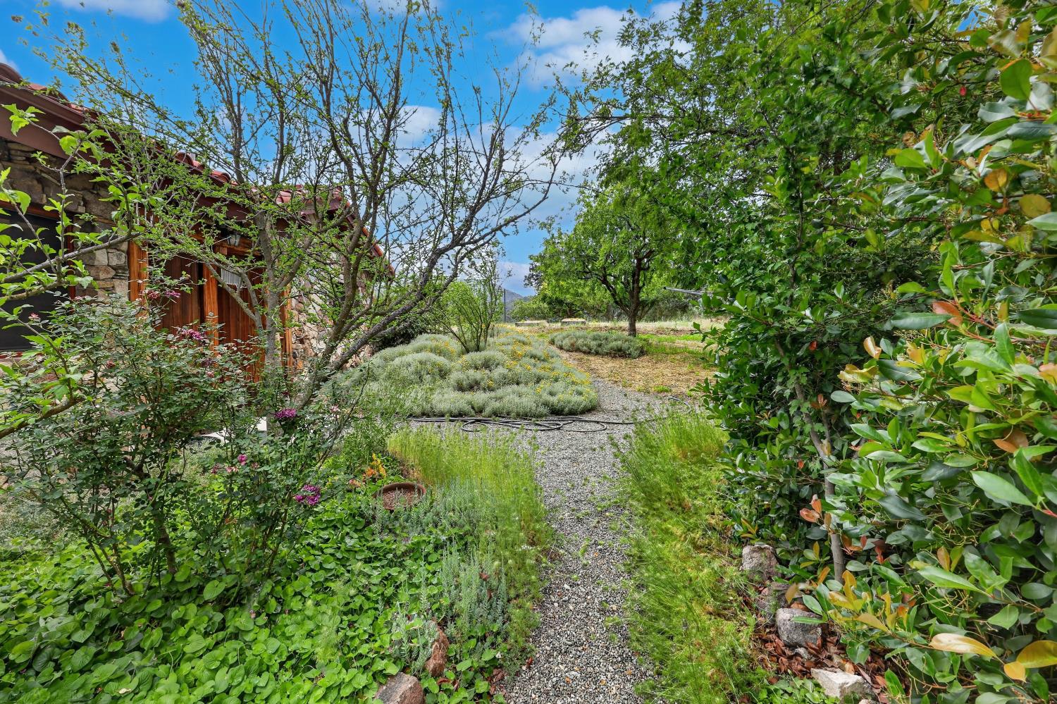 32115 Rock Hill Ln, Auberry, CA 93602