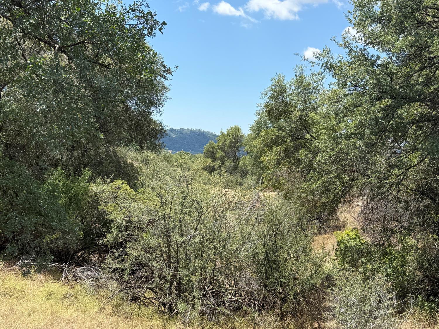 3295 Wildcat Rd, Mariposa, CA 95338