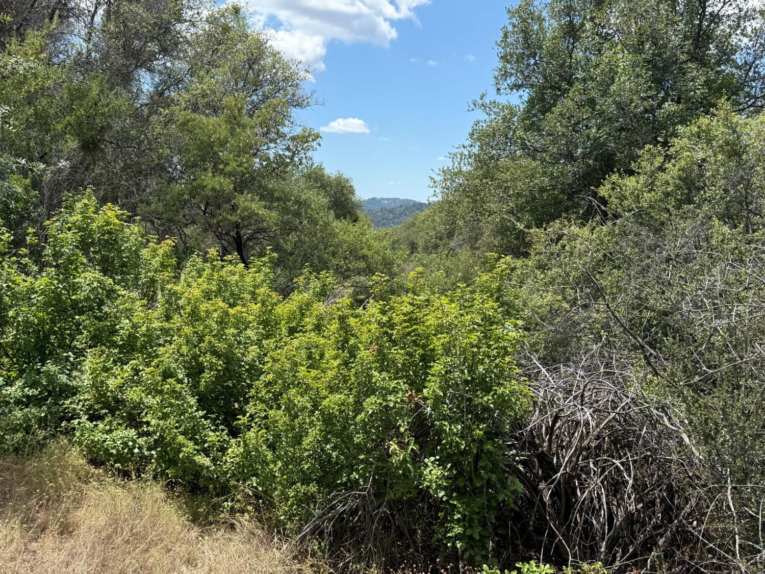3295 Wildcat Rd, Mariposa, CA 95338