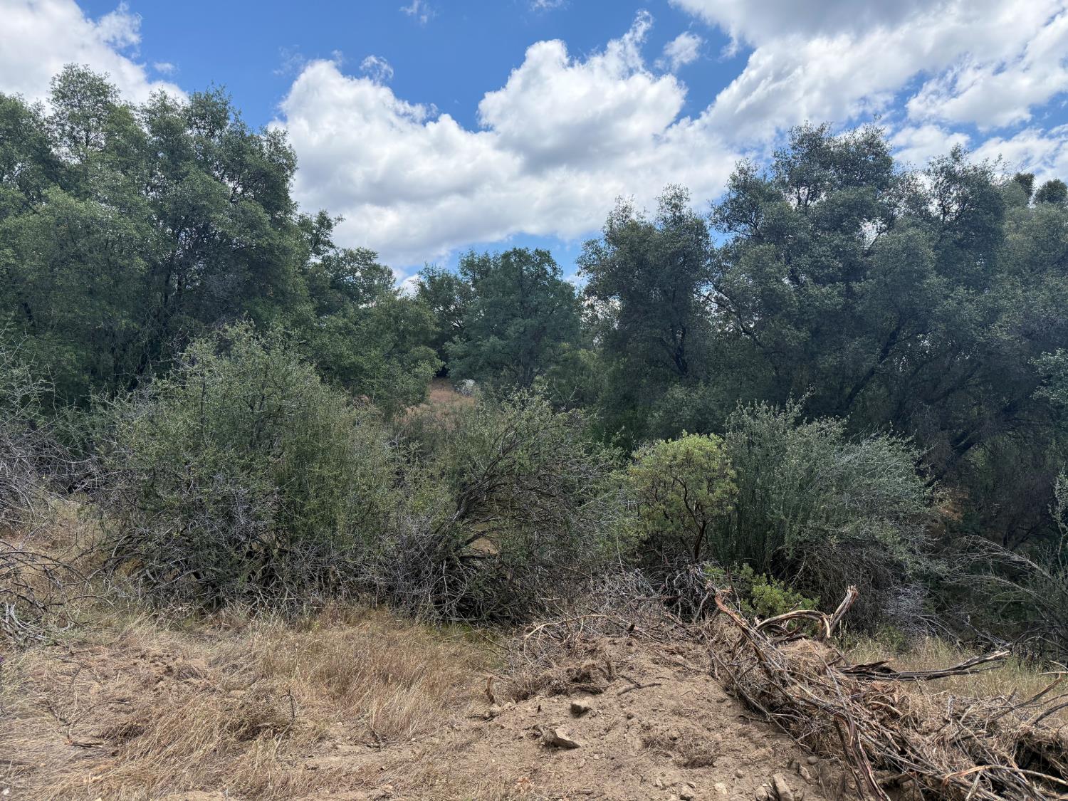 3295 Wildcat Rd, Mariposa, CA 95338
