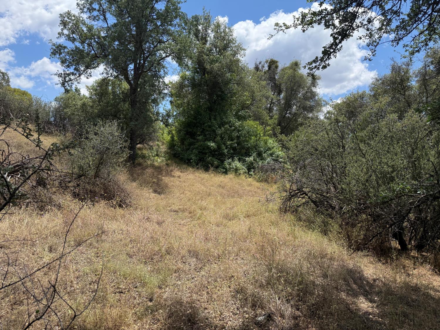 3295 Wildcat Rd, Mariposa, CA 95338