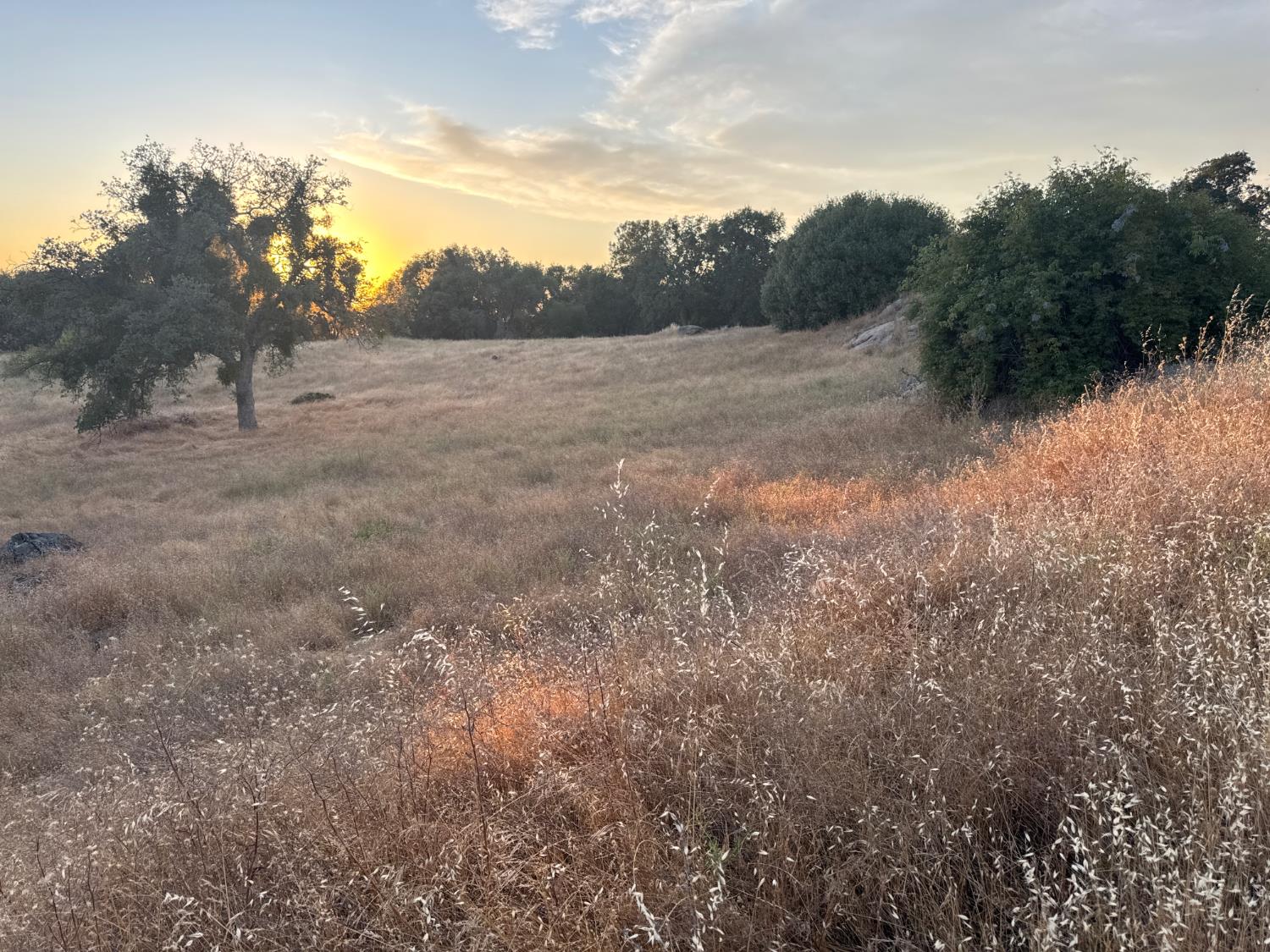 0 0 Buggy Whip Dr, Madera, CA 93614