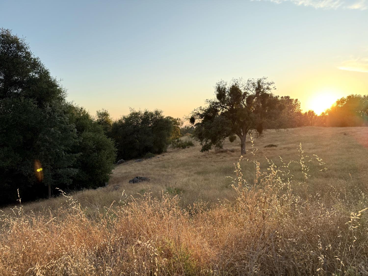 0 0 Buggy Whip Dr, Madera, CA 93614