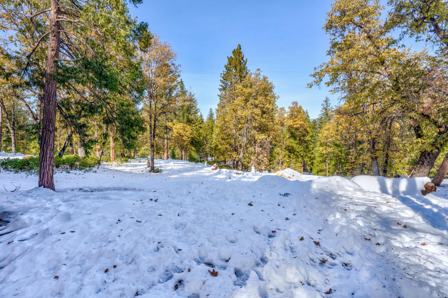 7540 Henness Cir #B206, Yosemite West, CA 95389
