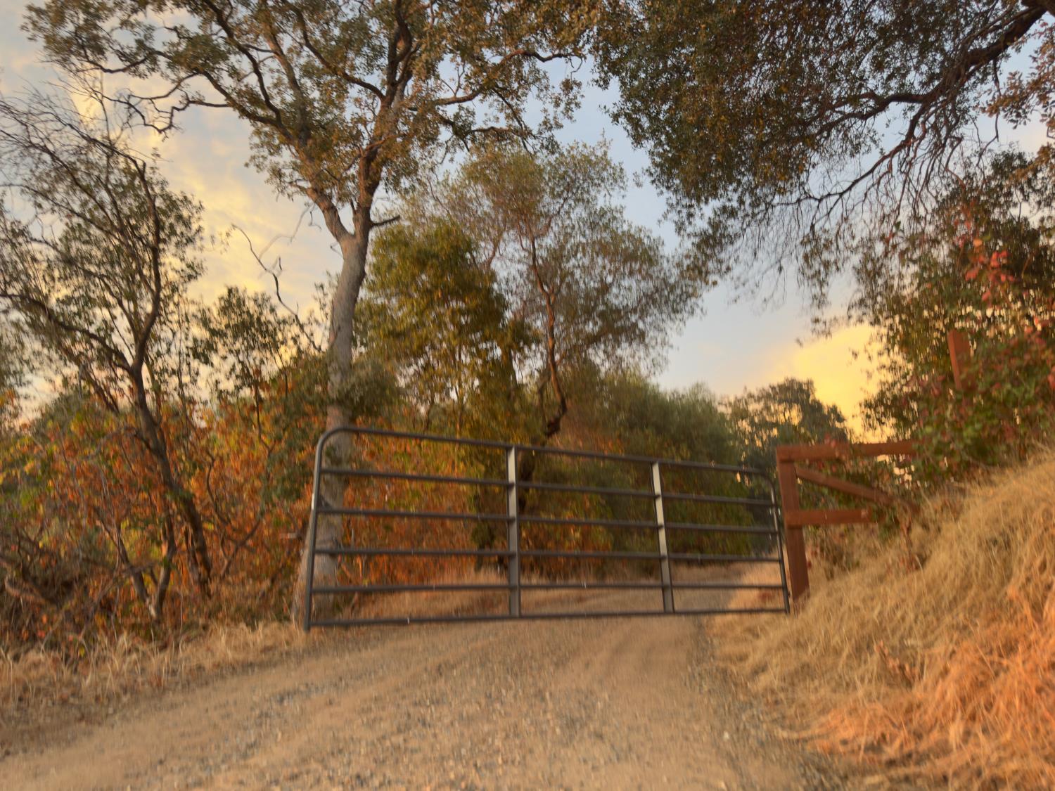 0 0 Buggy Whip Dr., Coarsegold, CA 93614