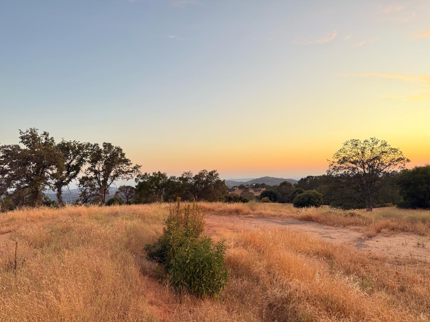0 0 Buggy Whip Dr., Coarsegold, CA 93614