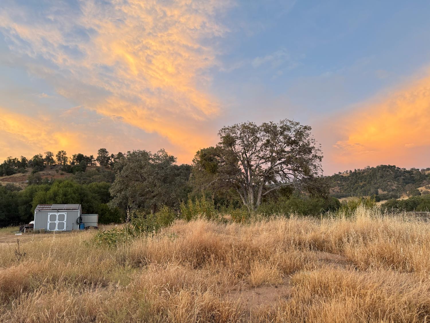 0 0 Buggy Whip Dr., Coarsegold, CA 93614