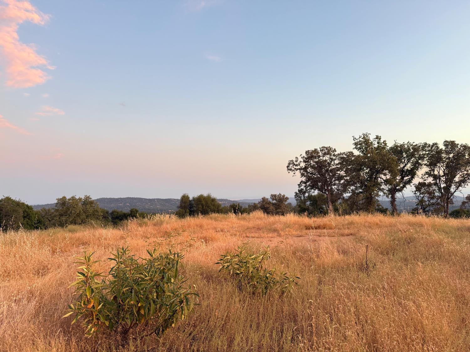 0 0 Buggy Whip Dr., Coarsegold, CA 93614