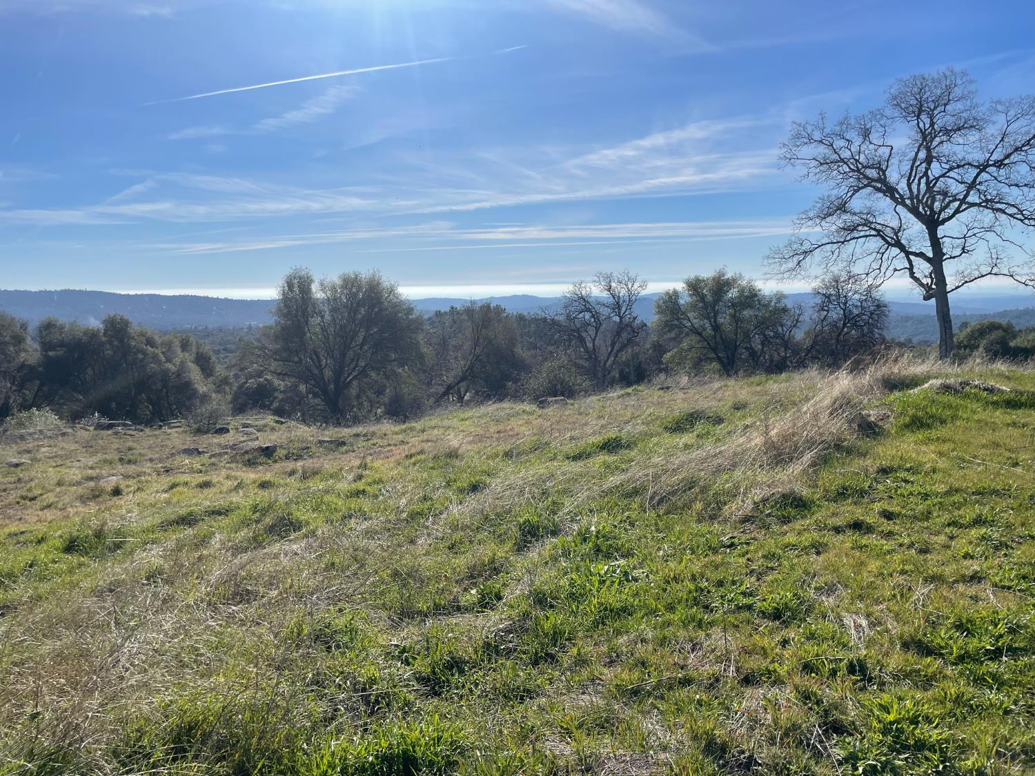 0 1 Buggy Whip Dr., Coarsegold, CA 93614