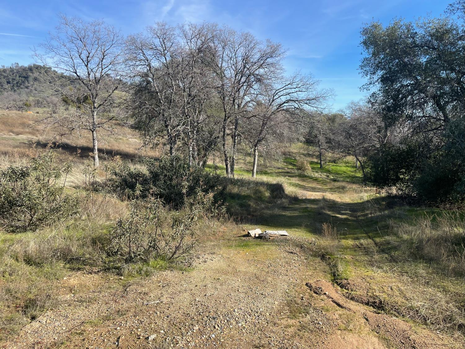 0 1 Buggy Whip Dr., Coarsegold, CA 93614