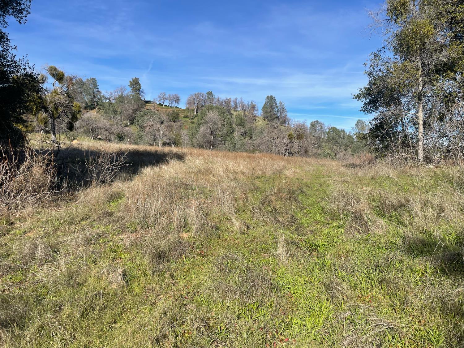 0 1 Buggy Whip Dr., Coarsegold, CA 93614