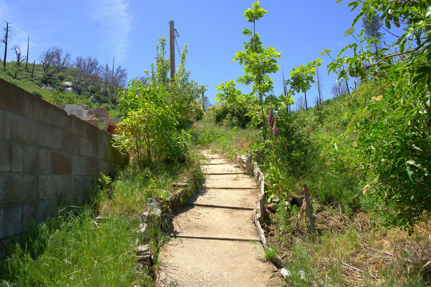 43565 Alder Springs Rd, Auberry, CA 93602