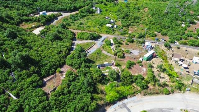 43565 Alder Springs Rd, Auberry, CA 93602