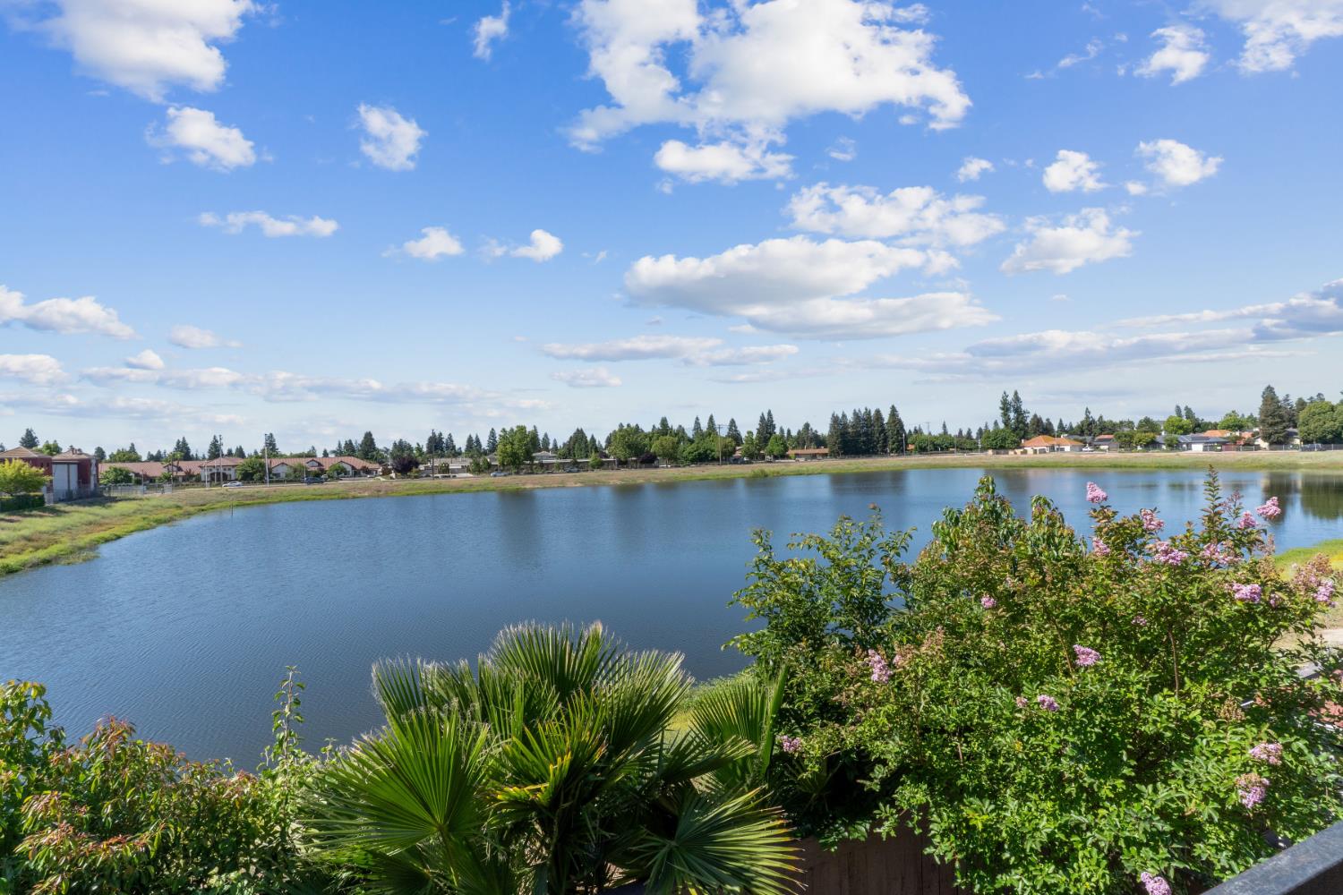 8147 N Cedar Ave #203, Fresno, CA 93720