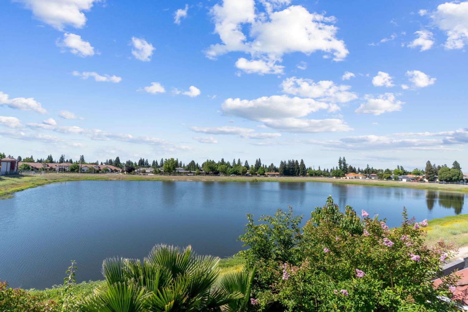 8147 N Cedar Ave #203, Fresno, CA 93720