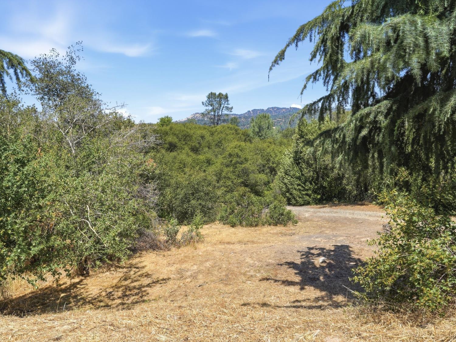 31490 Kennedy Rd, Coarsegold, CA 93614