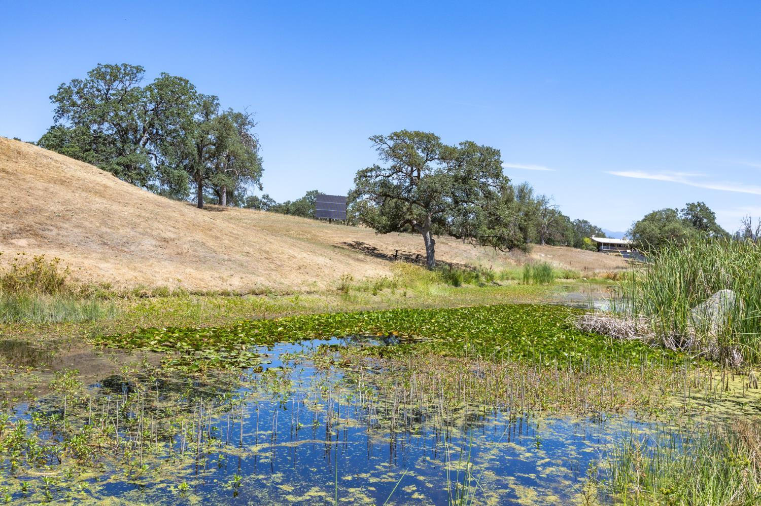 1087 Ben Hur, Raymond, CA 93653