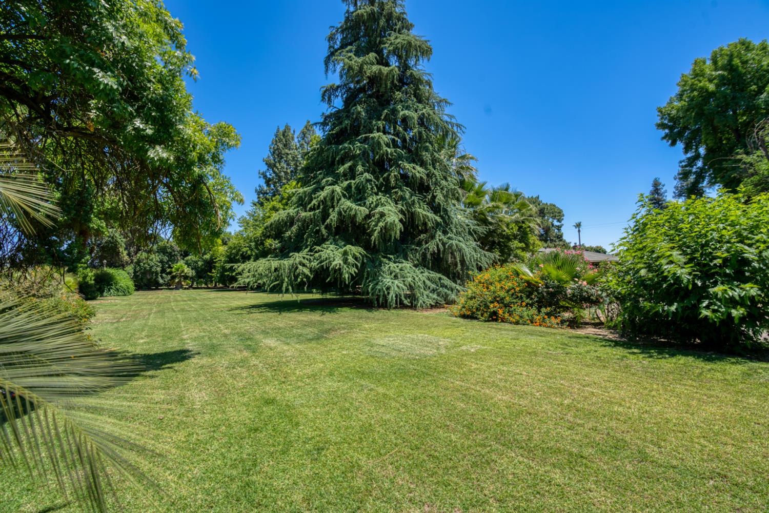 2173 S Minnewawa, Fresno, CA 93727