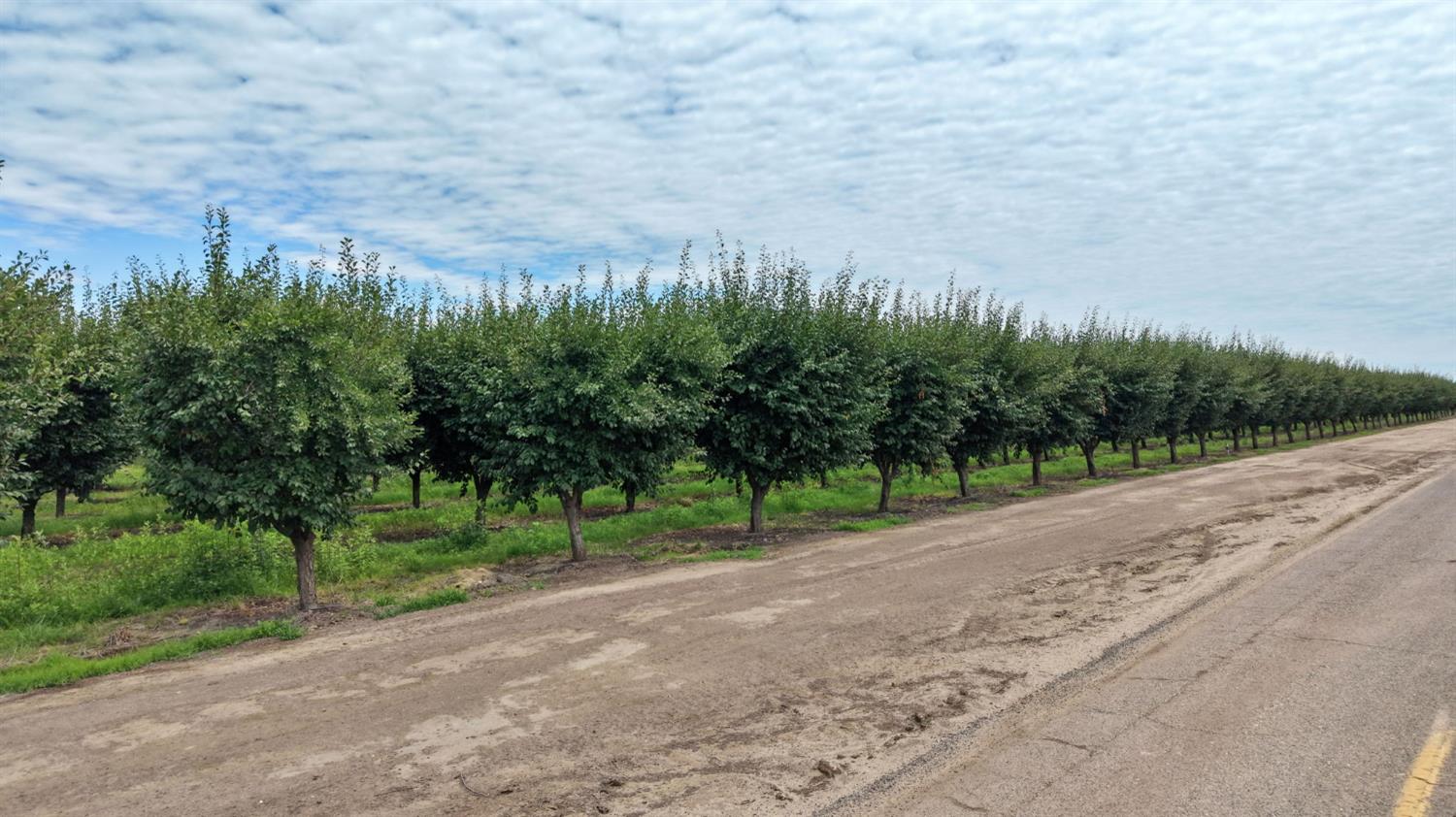 6539 Road 29, Madera, CA 93637