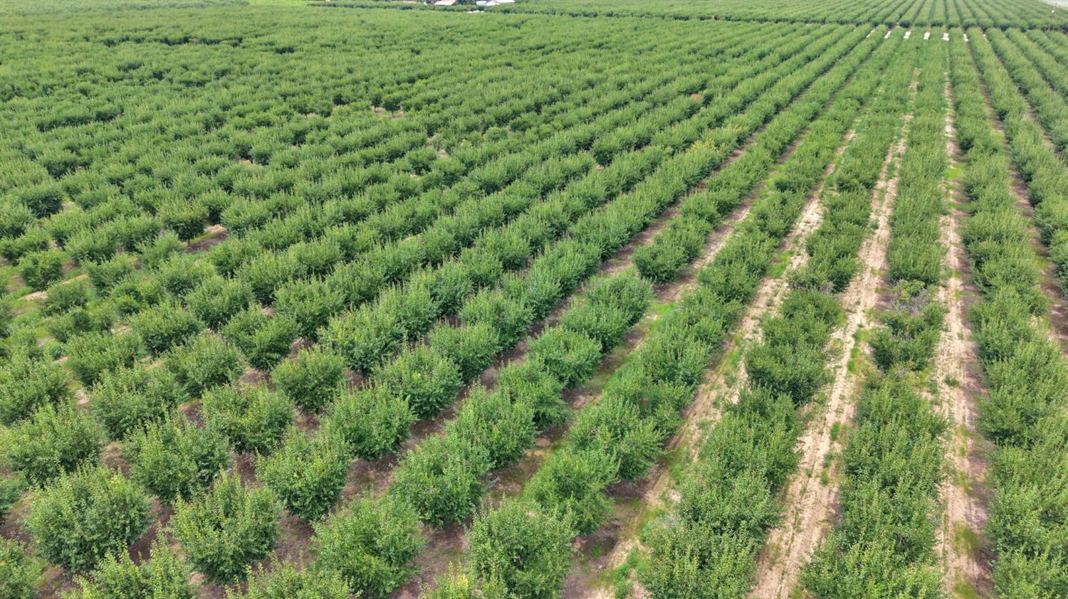 6539 Road 29, Madera, CA 93637
