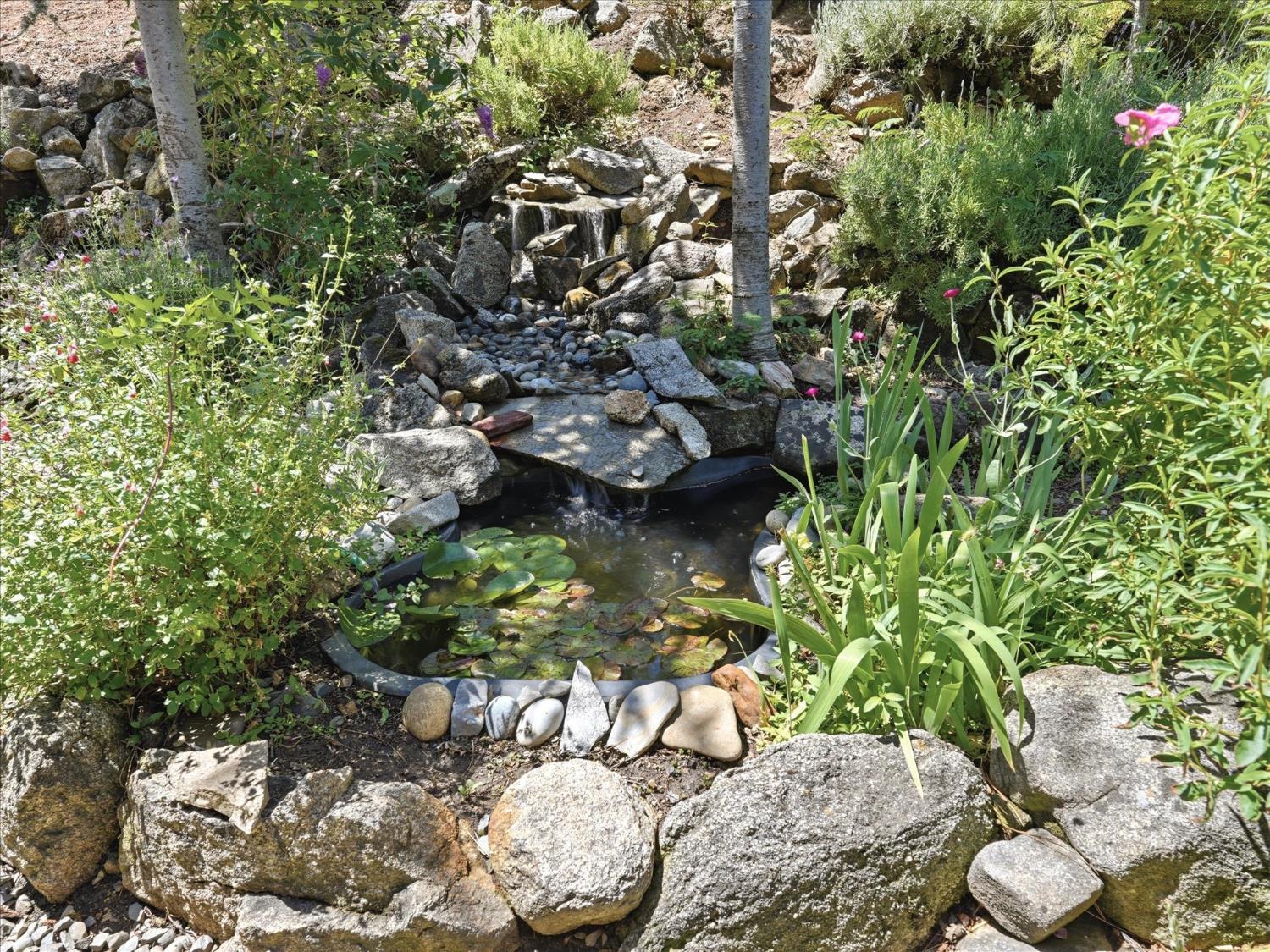 34018 Peckinpah Acres Dr, North Fork, CA 93643