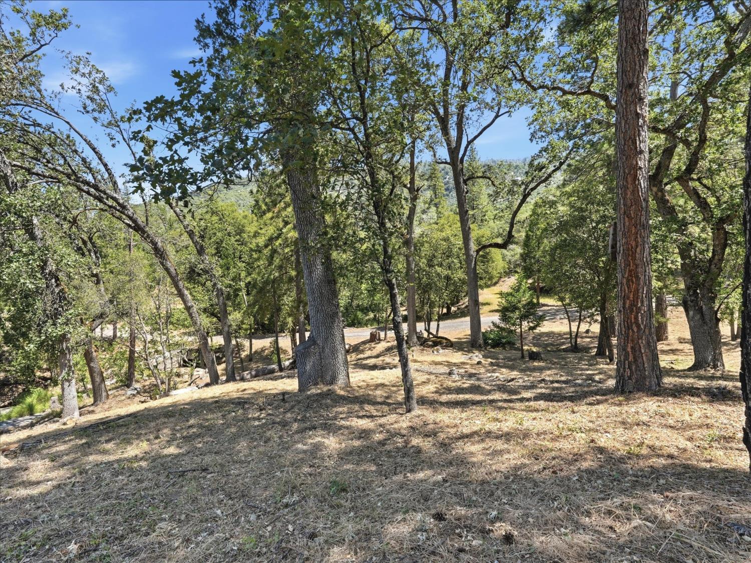 34018 Peckinpah Acres Dr, North Fork, CA 93643