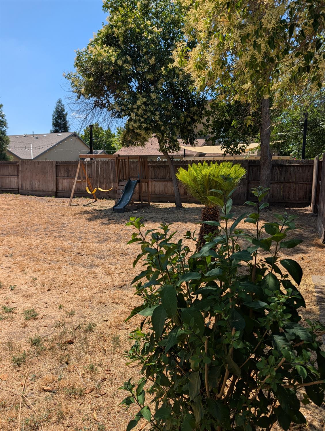 645 E Sierra Ave, Reedley, CA 93654