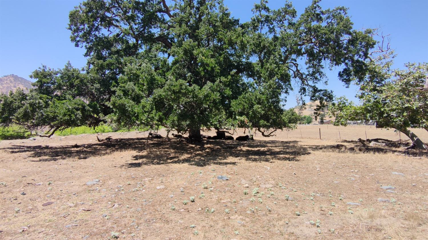 62 Lot 62 Wonder Valley Ranchos, Sanger, CA 93657