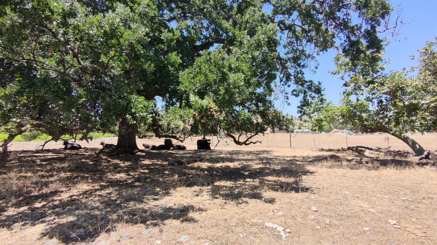 62 Lot 62 Wonder Valley Ranchos, Sanger, CA 93657