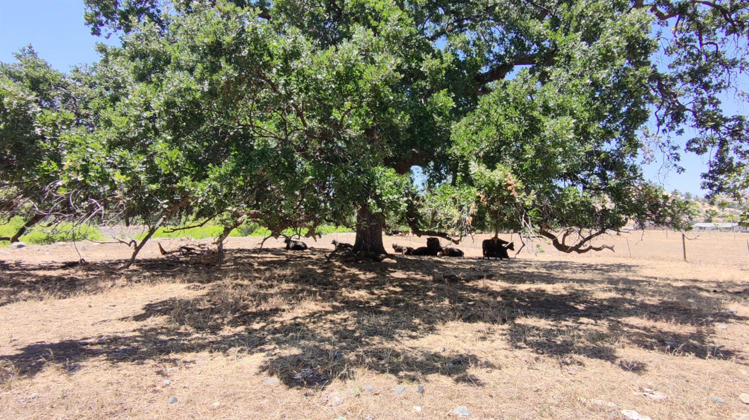 62 Lot 62 Wonder Valley Ranchos, Sanger, CA 93657