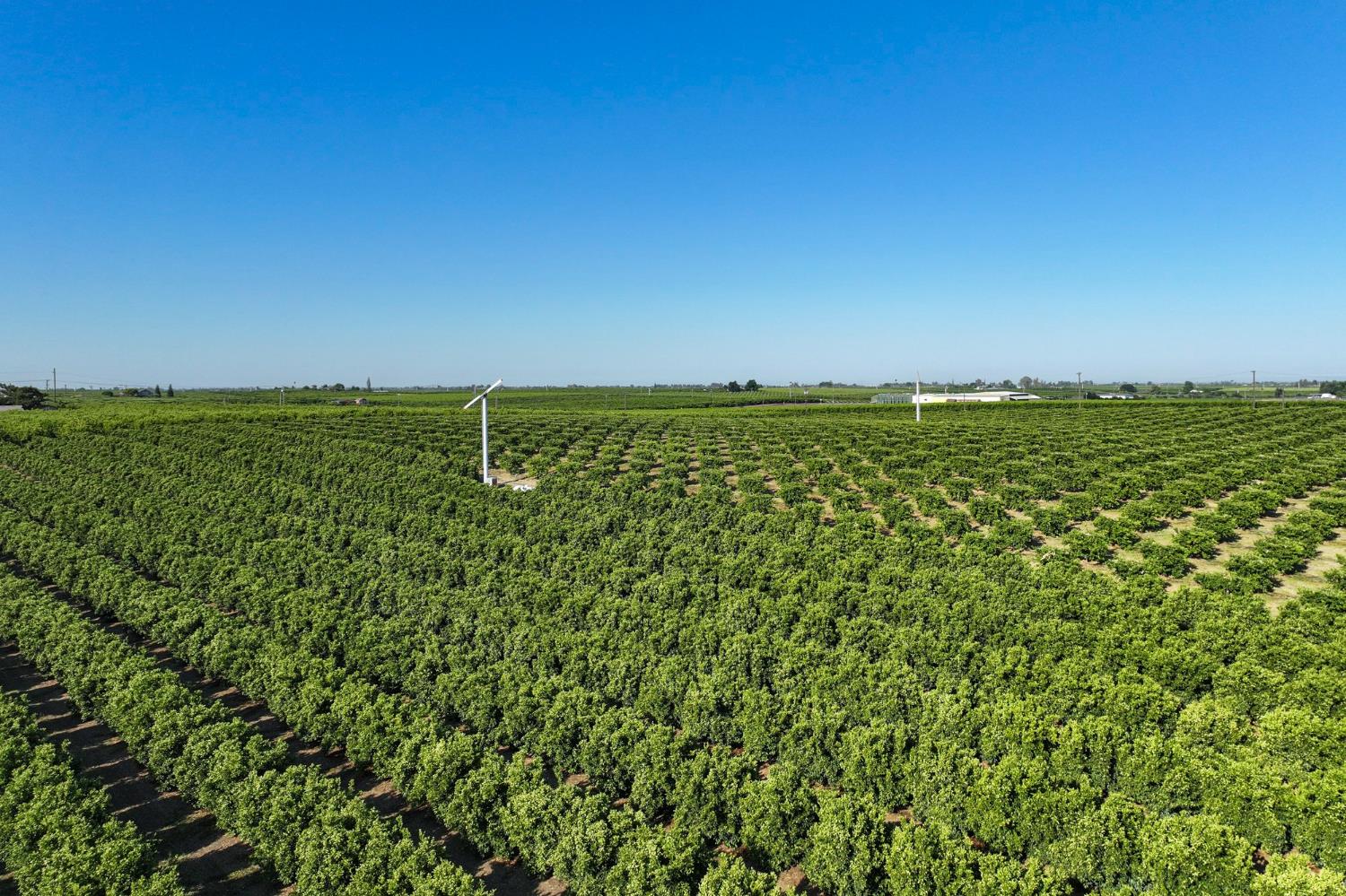 0 0 Hillcrest St, Porterville, CA 93257