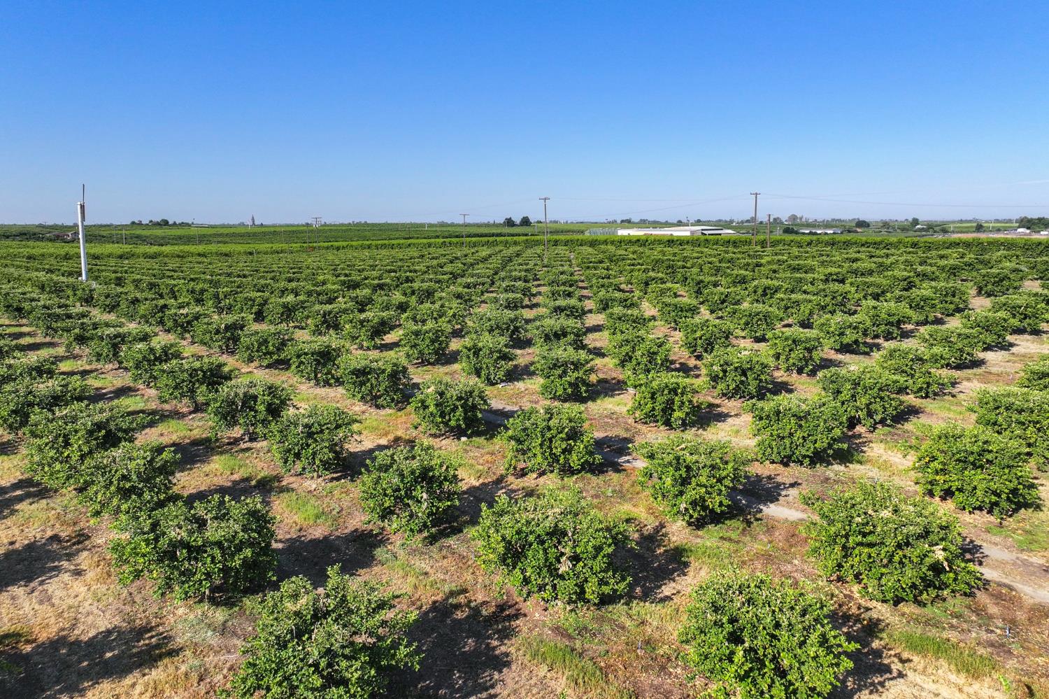 0 0 Hillcrest St, Porterville, CA 93257