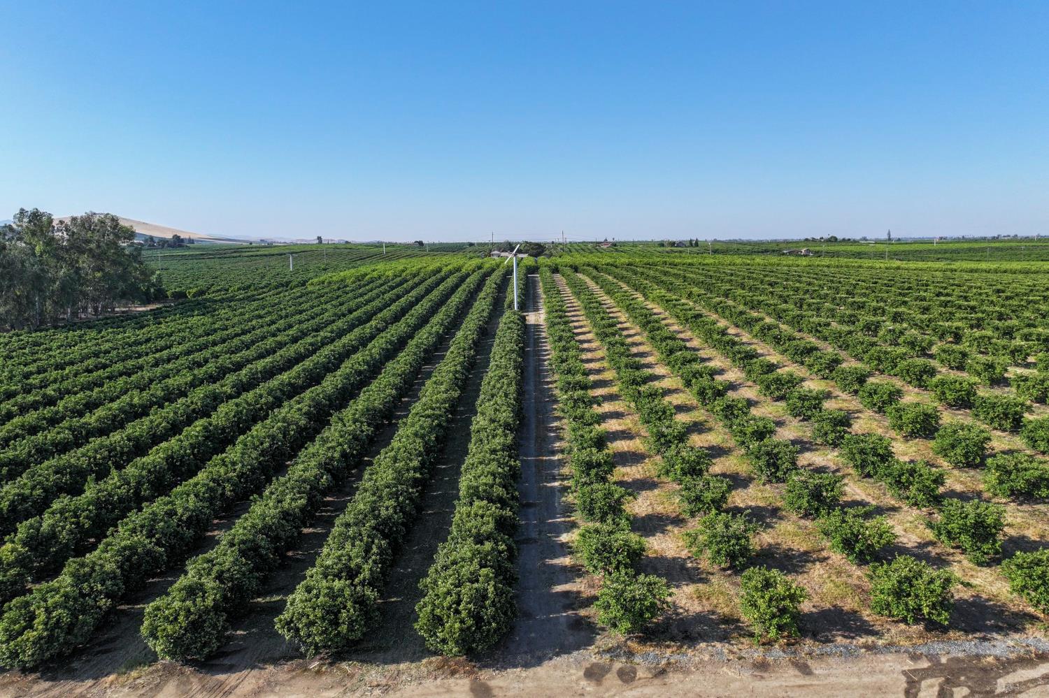 0 0 Hillcrest St, Porterville, CA 93257