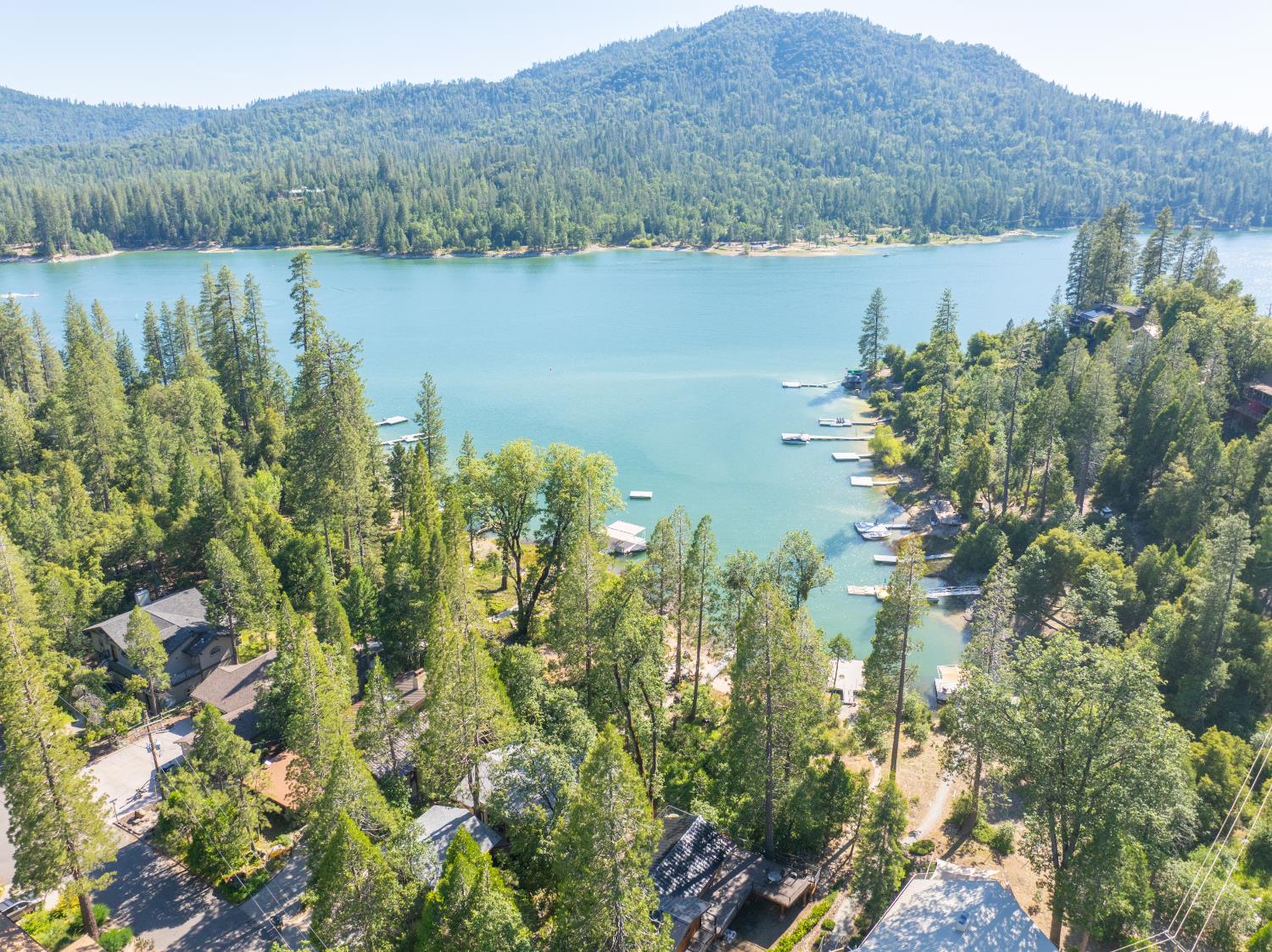 38954 Lake Point Ct, Bass Lake, CA 93604