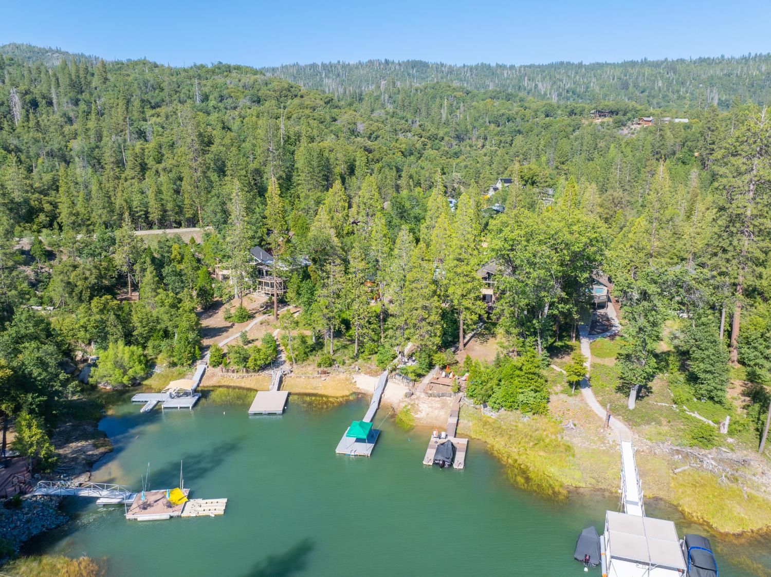38954 Lake Point Ct, Bass Lake, CA 93604