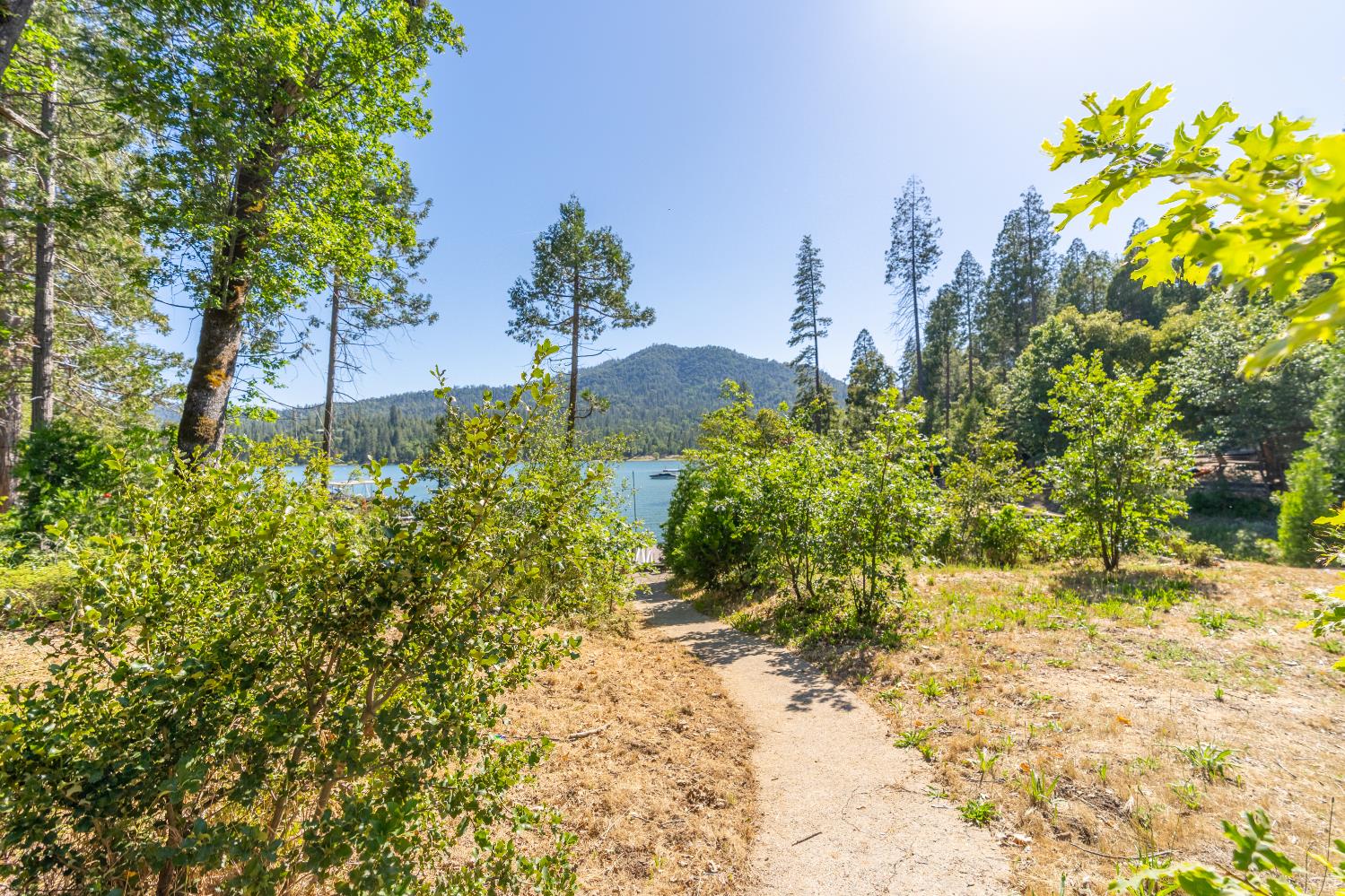 38954 Lake Point Ct, Bass Lake, CA 93604