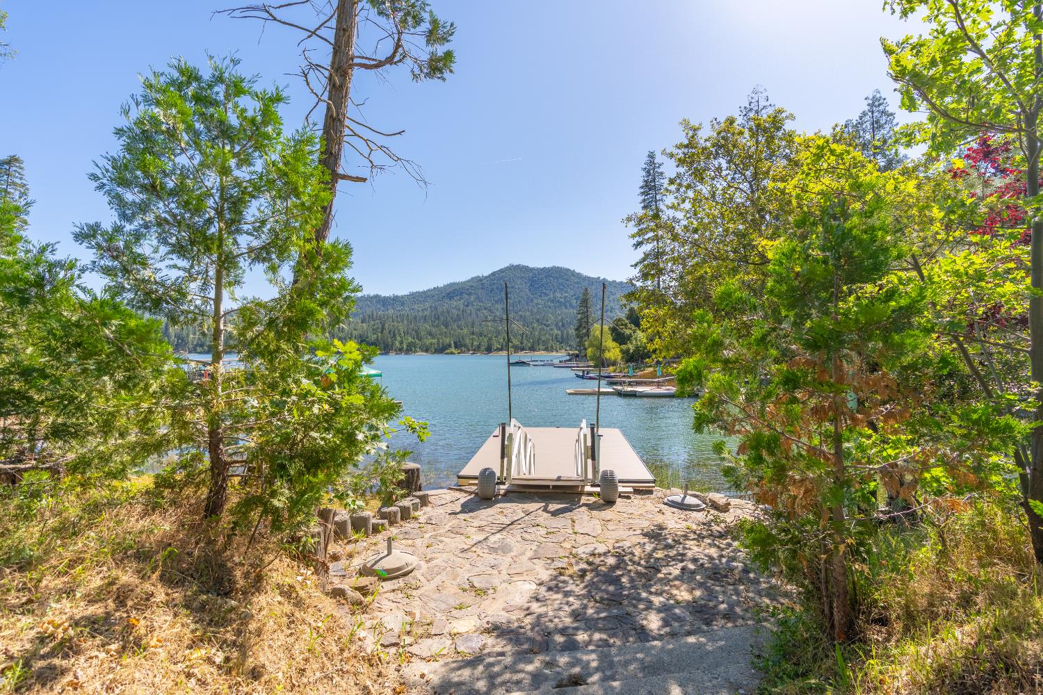38954 Lake Point Ct, Bass Lake, CA 93604