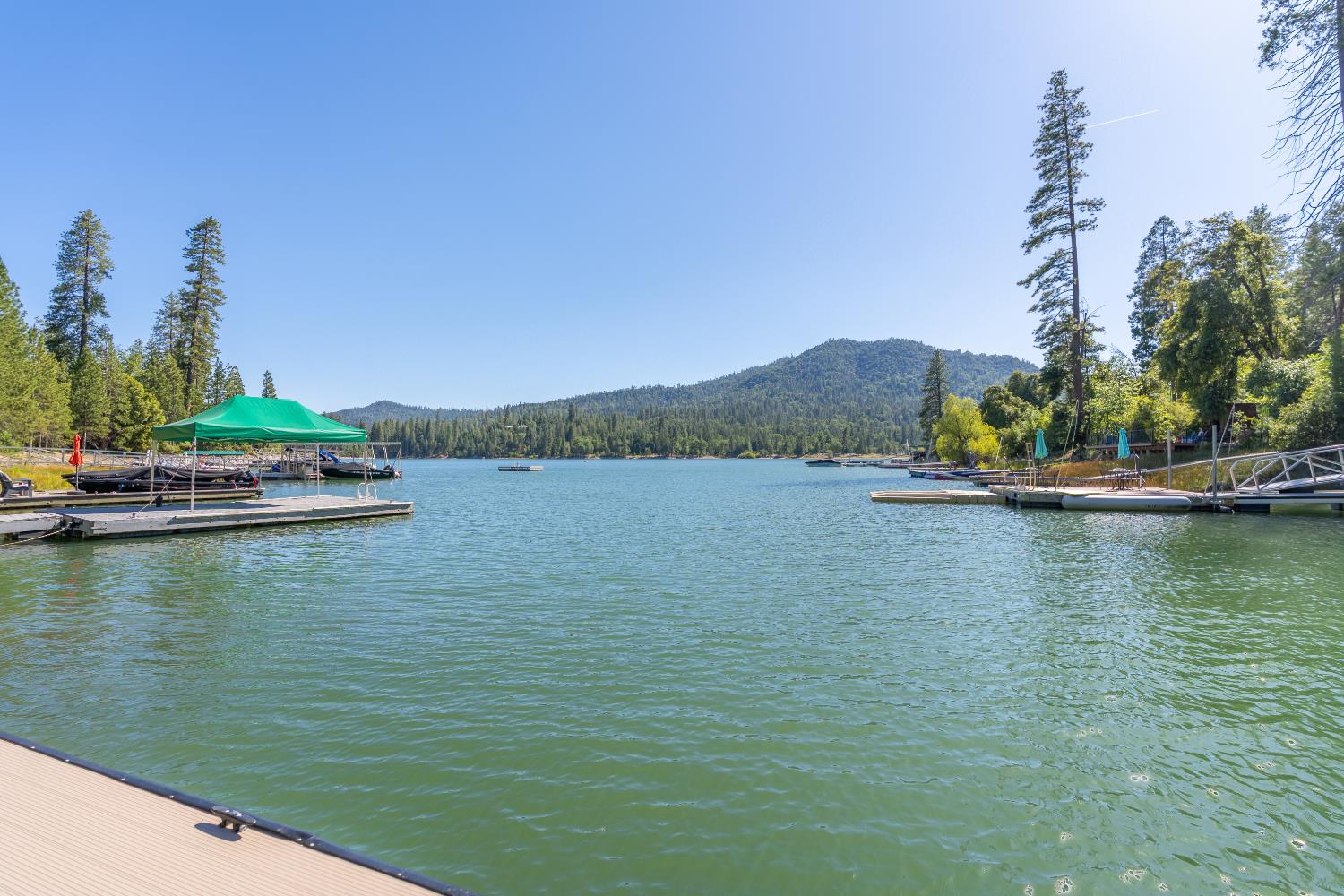 38954 Lake Point Ct, Bass Lake, CA 93604