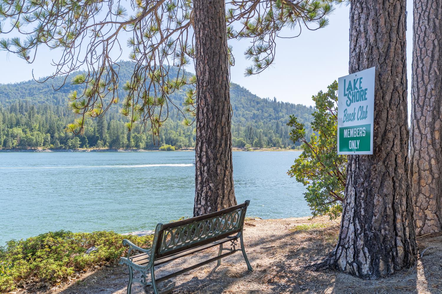 38954 Lake Point Ct, Bass Lake, CA 93604
