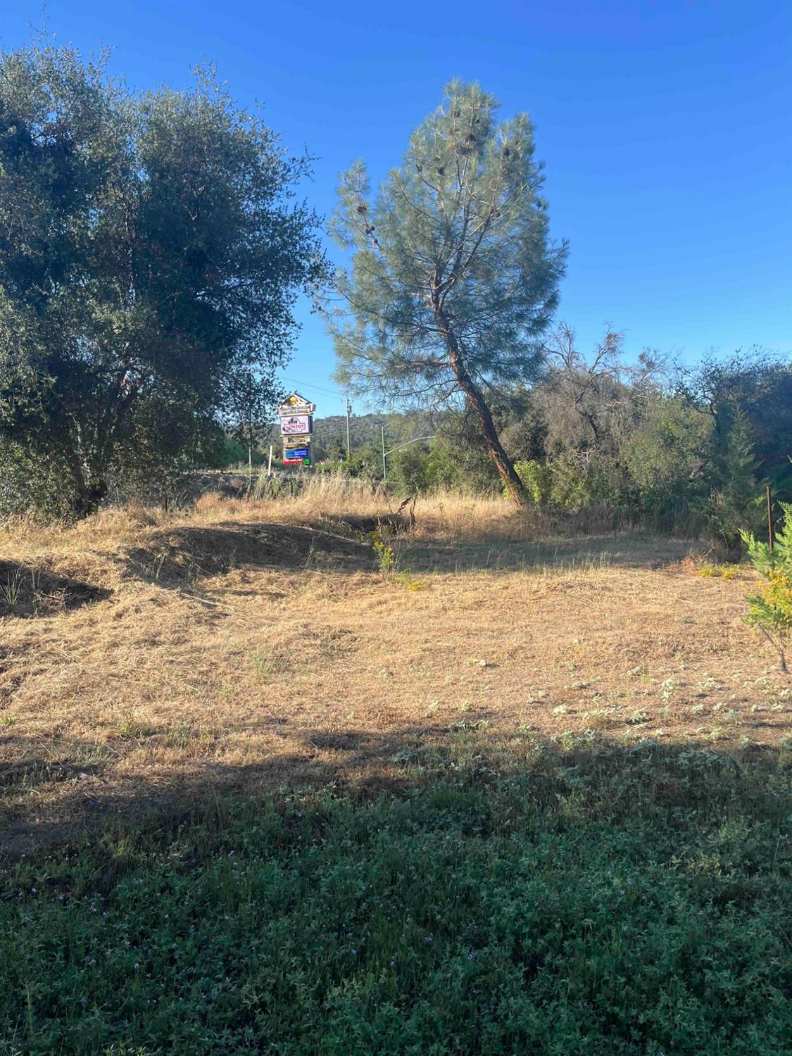 45990 Hawk Ln, Coarsegold, CA 93614
