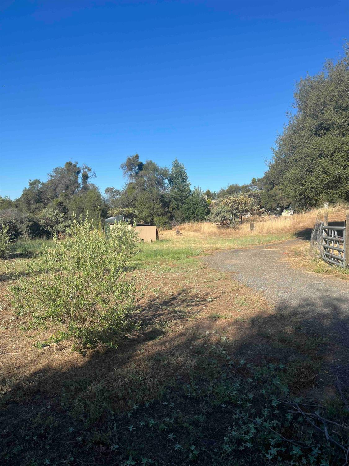 45990 Hawk Ln, Coarsegold, CA 93614