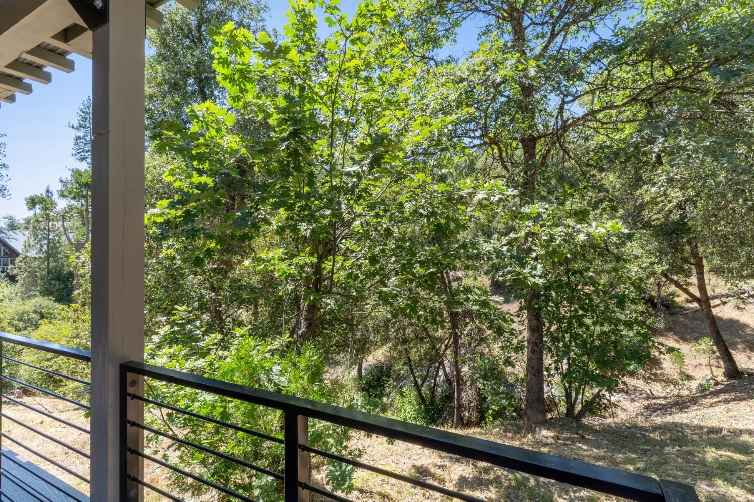 53976 Dogwood Creek Dr, Bass Lake, CA 93604