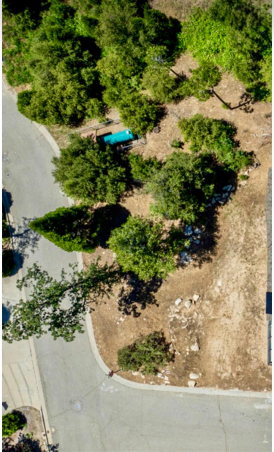 53976 Dogwood Creek Dr, Bass Lake, CA 93604